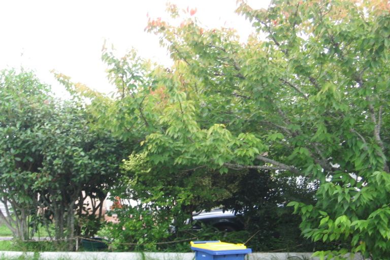 Photo of property in 27 Te Kanawa Crescent, Henderson, Auckland, 0610