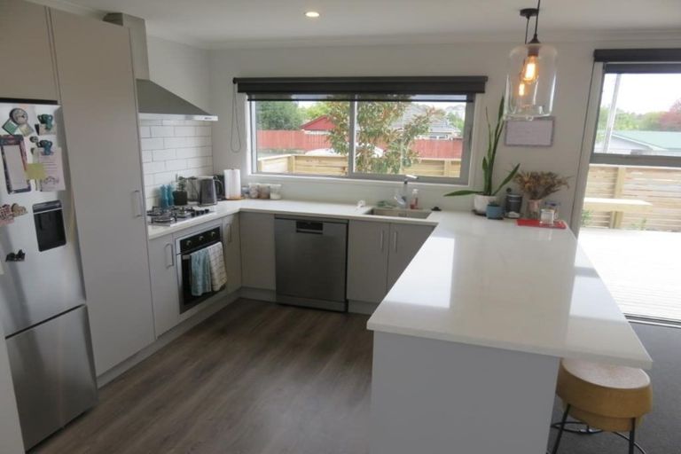 Photo of property in 22u1 Thomson Avenue, Dinsdale, Hamilton, 3204