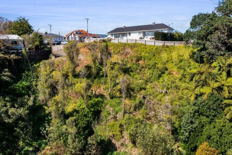 Photo of property in 18 Selwyn Street, Lower Vogeltown, New Plymouth, 4310