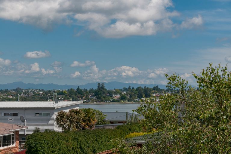 Photo of property in 355 Maungatapu Road, Maungatapu, Tauranga, 3112