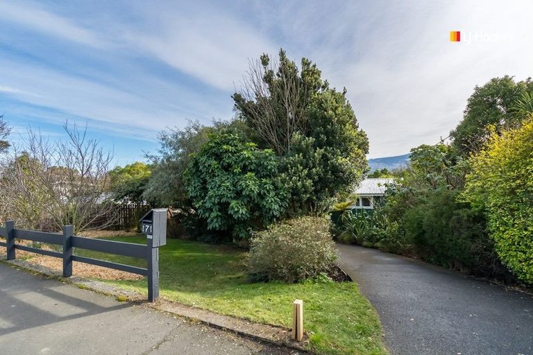 Photo of property in 171 Larnach Road, Waverley, Dunedin, 9013