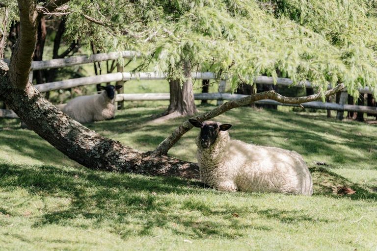 Photo of property in 39 Ohiwa Road, Papakura, 2582