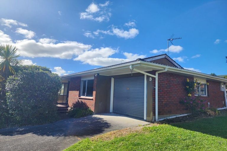 Photo of property in 3/113 Lynwood Road, New Lynn, Auckland, 0600