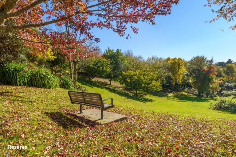 Photo of property in 38 Rowesdale Drive, Ohauiti, Tauranga, 3112