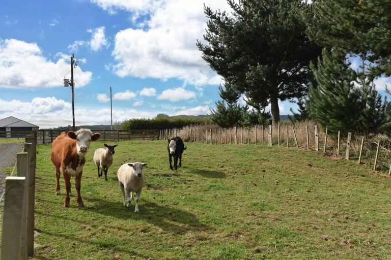 Photo of property in 791 Waikite Valley Road, Waikite Valley, Rotorua, 3077