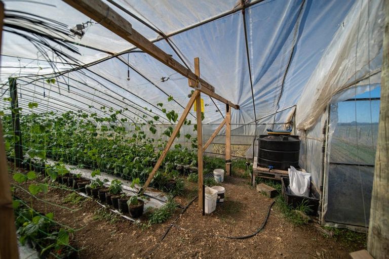 Photo of property in 389 Waiuku Road, Puni, Pukekohe, 2678