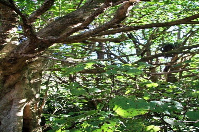 Photo of property in 42b Dutton Road, Peria, Kaitaia, 0482
