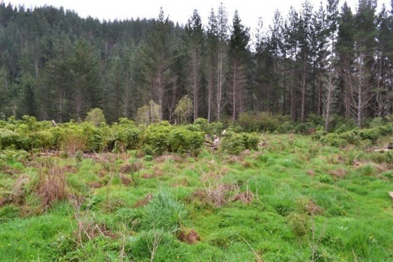 Photo of property in 867 Gladstone Road, Levin, 5571