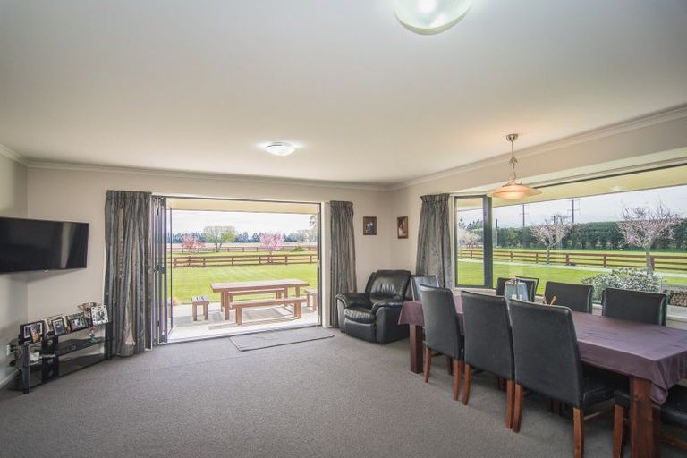 Photo of property in 614 Seadown Road, Seadown, Timaru, 7973