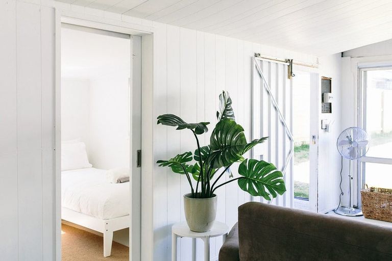 Photo of property in 24 Muricata Avenue, Mount Maunganui, 3116