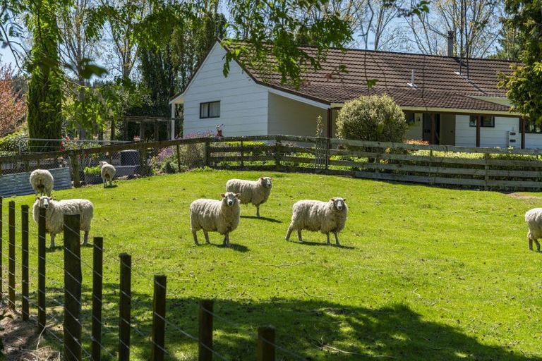 Photo of property in 906 Tukairangi Road, Acacia Bay, Taupo, 3385