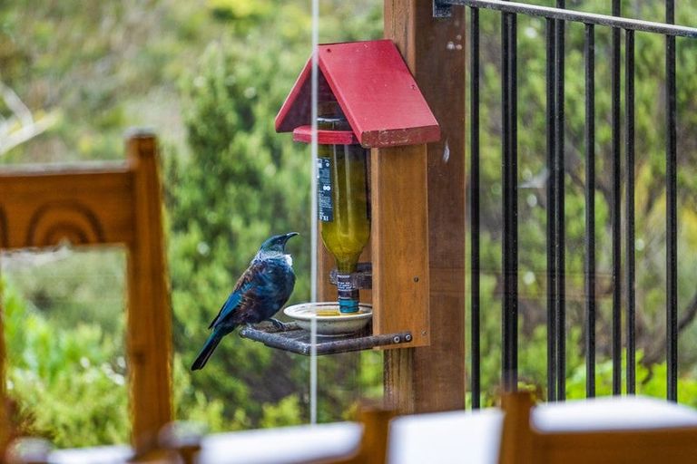 Photo of property in 4 Clayden Drive, Gulf Harbour, Whangaparaoa, 0930