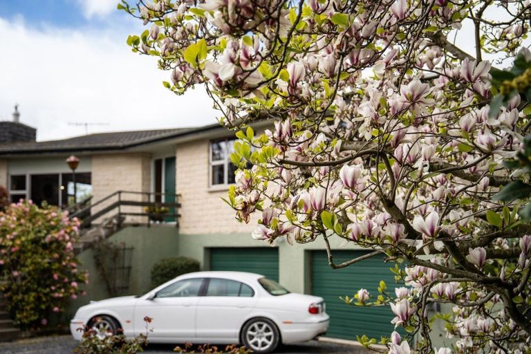 Photo of property in 101 Main Road, Clinton, 9534