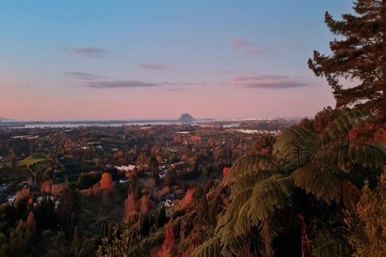 Photo of property in 86a Te Puna Quarry Road, Minden, 3179