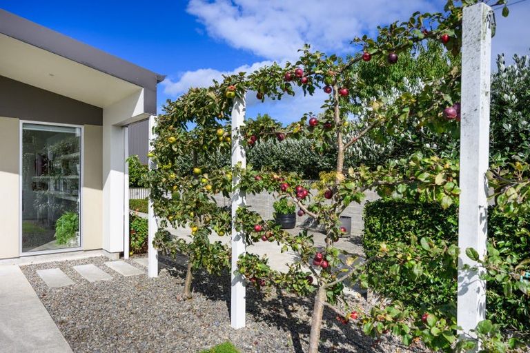 Photo of property in 17 Oram Drive, Turitea, Palmerston North, 4472