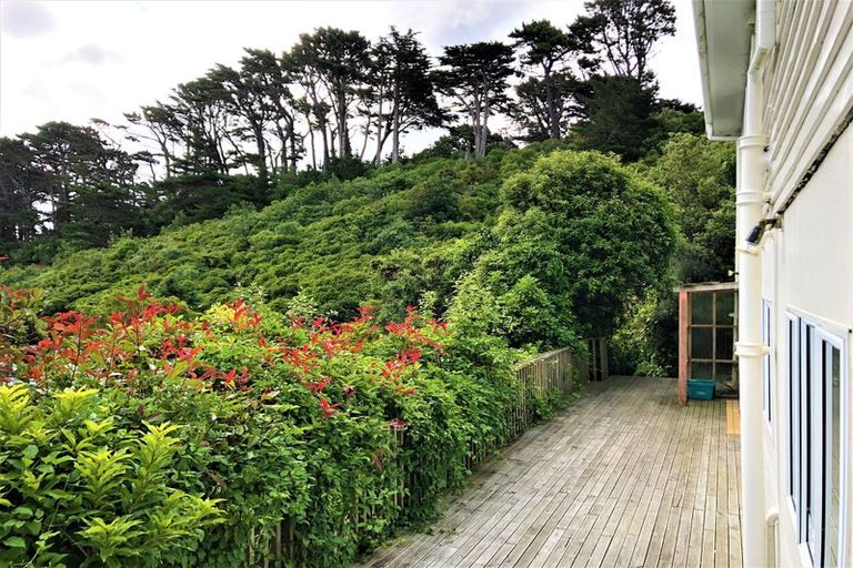 Photo of property in 56 Hapua Street, Hataitai, Wellington, 6021