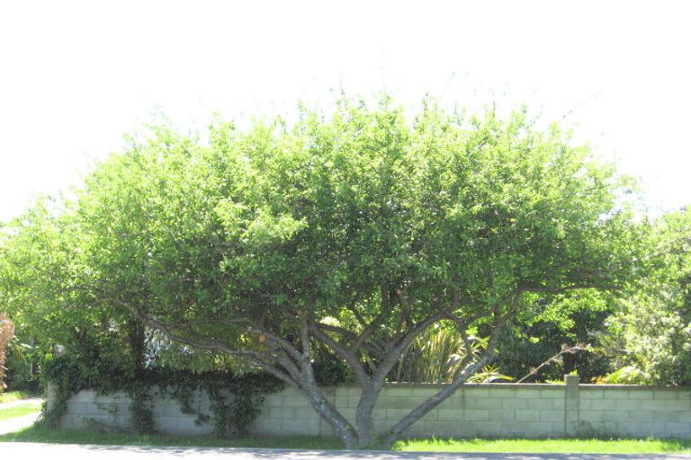 Photo of property in 4 Iranui Road, Inner Kaiti, Gisborne, 4010