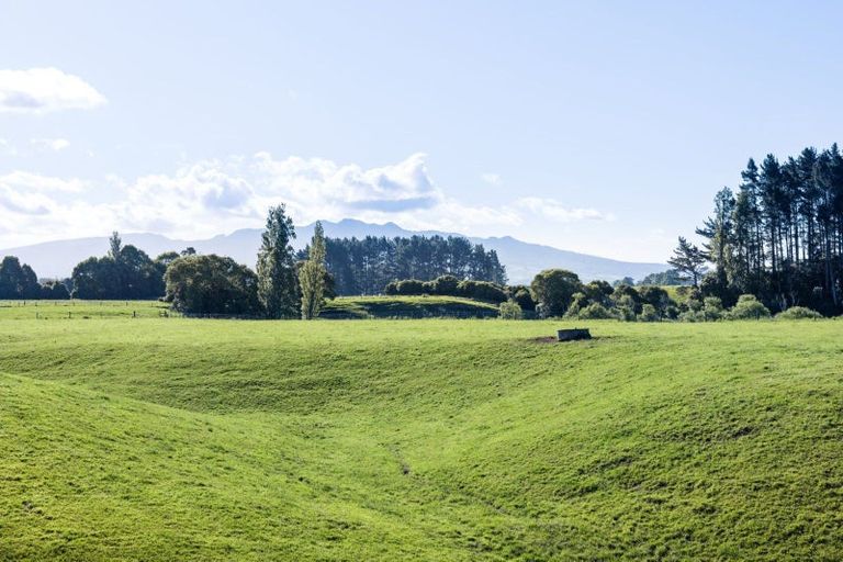 Photo of property in 248 Pokuru Road, Pokuru, Te Awamutu, 3875
