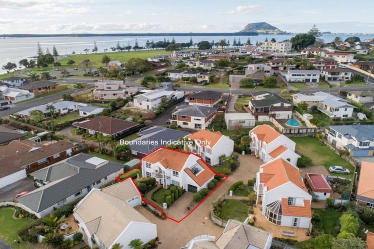 Photo of property in 38 Percival Avenue, Matua, Tauranga, 3110