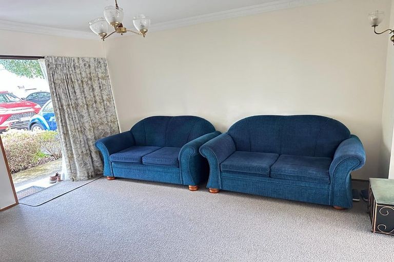 Photo of property in 125 Thirteenth Avenue, Tauranga South, Tauranga, 3112