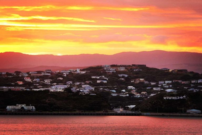 Photo of property in 85 Overtoun Terrace, Hataitai, Wellington, 6021