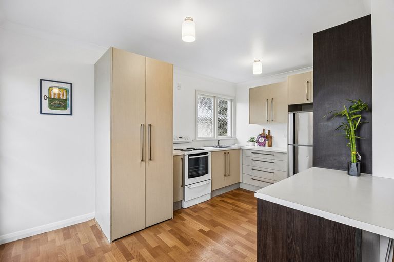 Photo of property in 9 Peter Street, Caversham, Dunedin, 9012