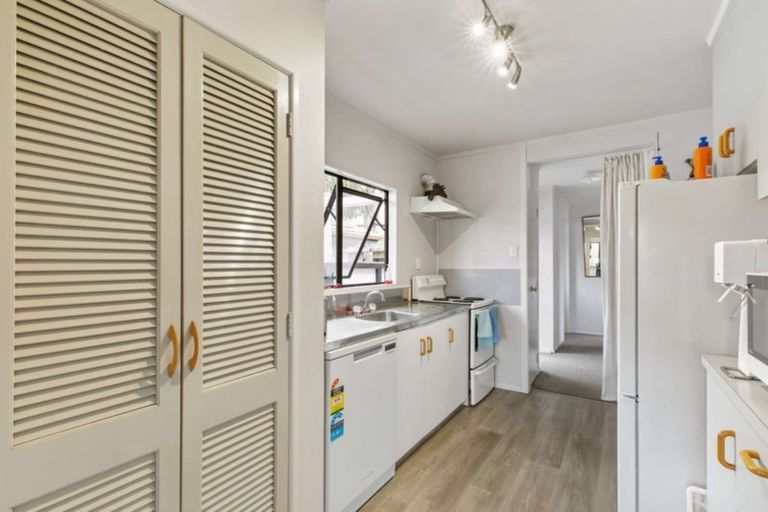 Photo of property in 60 Campbell Road, Mount Maunganui, 3116