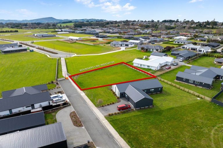 Photo of property in 71 Miro Street, Lansdowne, Masterton, 5810