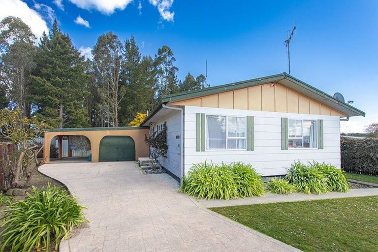 Photo of property in 21 Holt Place, Waipukurau, 4200