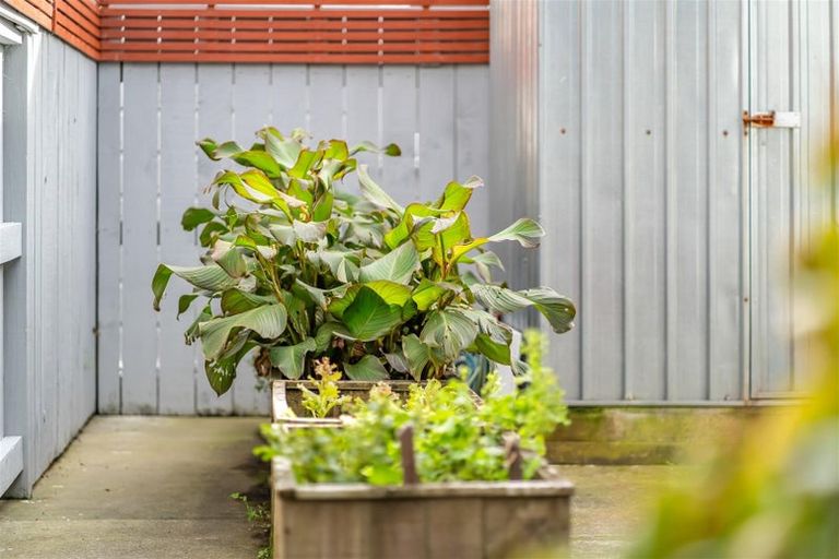Photo of property in 35f2 Tahi Street, Miramar, Wellington, 6022