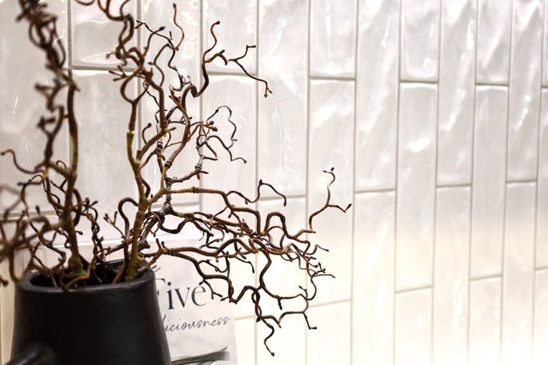 Photo of property in 6 Samuel Place, Terrace End, Palmerston North, 4410