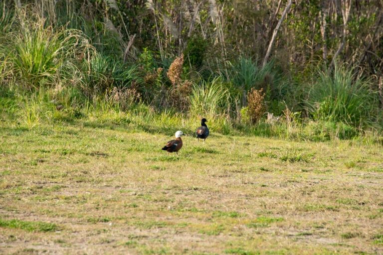 Photo of property in 189 Tuhirangi Road, Makarau, 0984