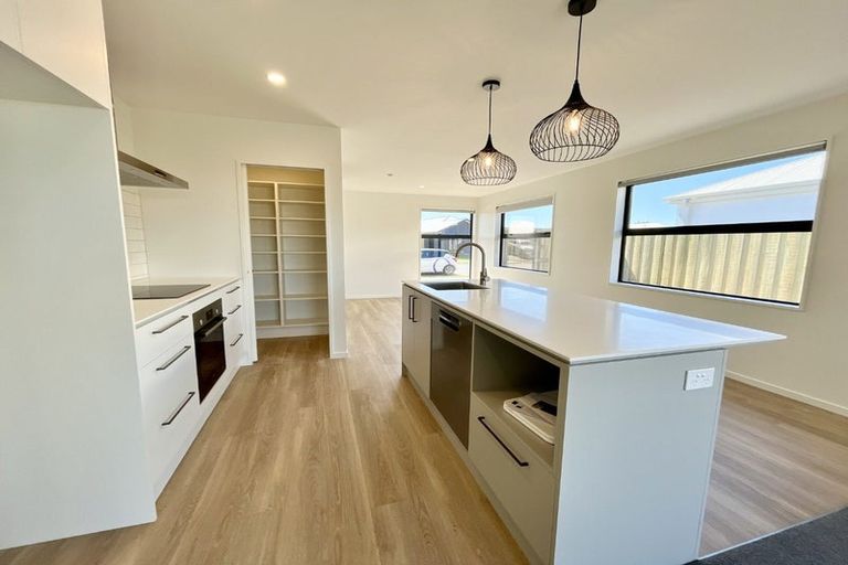 Photo of property in 17 Larch Drive, Rolleston, 7614