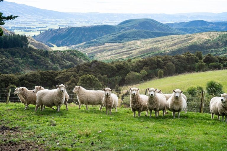 Photo of property in 477 Finlayson Road, Taieri Beach, Taieri Mouth, 9091