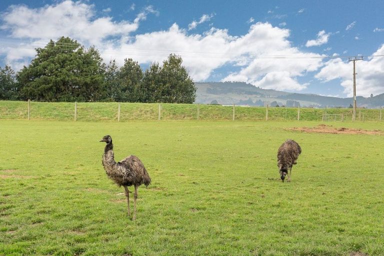 Photo of property in 22 Dukes Road North, Mosgiel, 9092