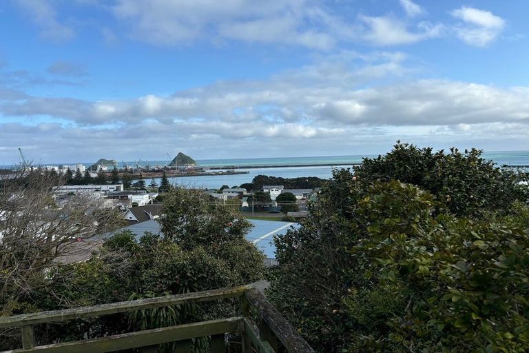 Photo of property in 11 South Road, Moturoa, New Plymouth, 4310