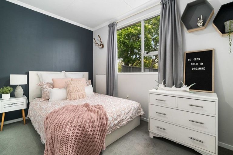 Photo of property in 18 Antimony Crescent, Cromwell, 9310