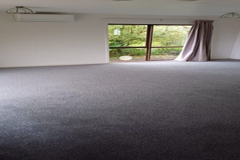 Photo of property in 108a Mount Sea Road, Thames, 3500