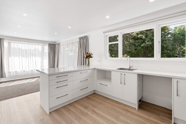 Photo of property in 17 Kennedy Road, Fairfield, Dunedin, 9018