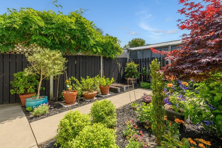 Photo of property in 11b Arundel Street, Tauranga, 3110