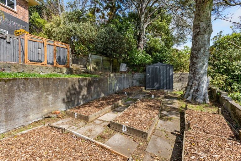 Photo of property in 13 Cowling Road, Hurdon, New Plymouth, 4310