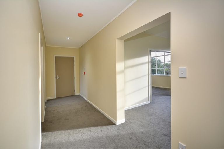 Photo of property in 8 Every Street, Andersons Bay, Dunedin, 9013
