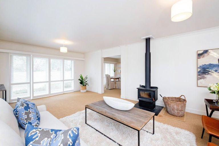 Photo of property in 55 Palmbrook Avenue, Havelock North, 4130