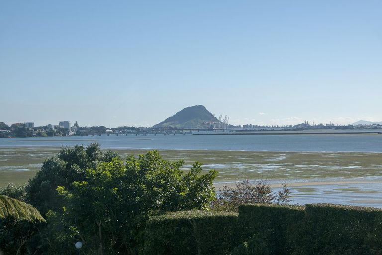 Photo of property in 250 Maungatapu Road, Maungatapu, Tauranga, 3112