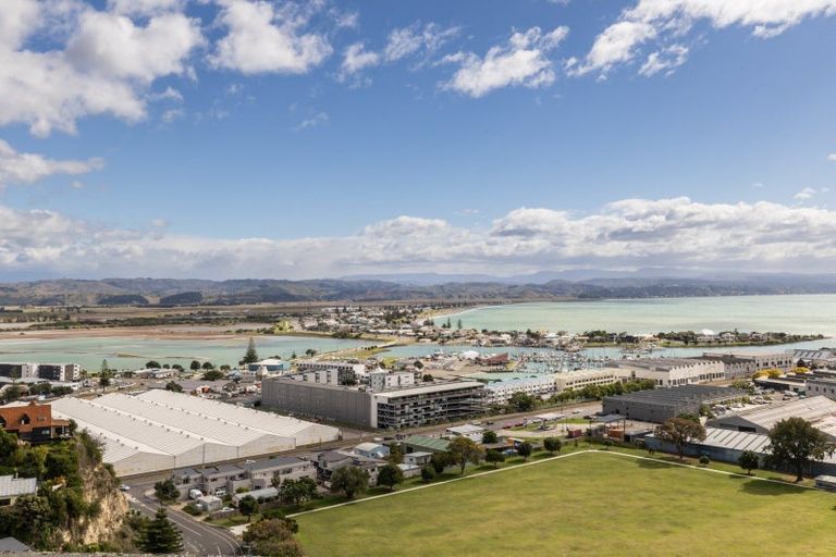 Photo of property in Northridge Apartments Stage Z, 7/22 Hospital Terrace, Hospital Hill, Napier, 4110