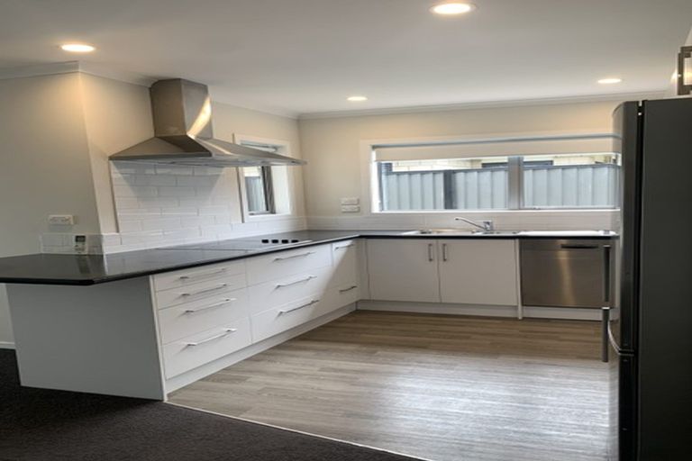 Photo of property in 81 Stan Heather Drive, Glenview, Hamilton, 3206