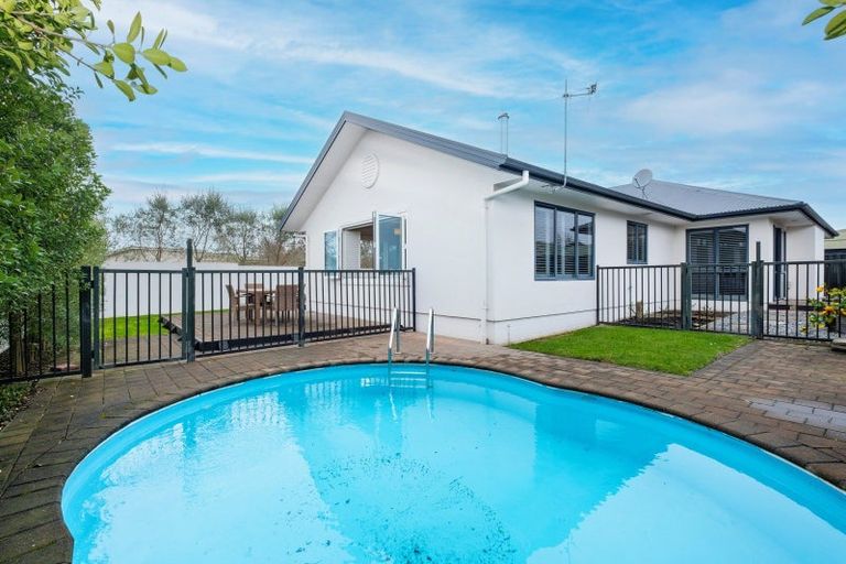 Photo of property in 55 Palmbrook Avenue, Havelock North, 4130