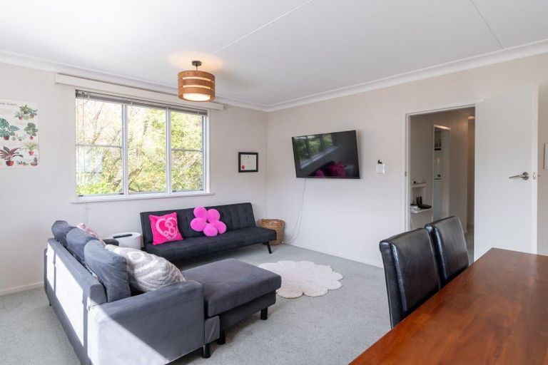 Photo of property in 39a Opoho Road, North East Valley, Dunedin, 9010