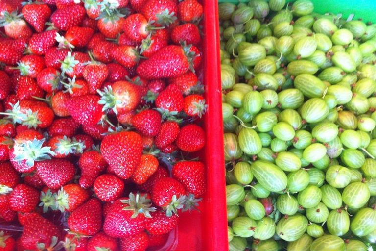 Photo of property in 781 Outram-mosgiel Road, Riverside, Mosgiel, 9073