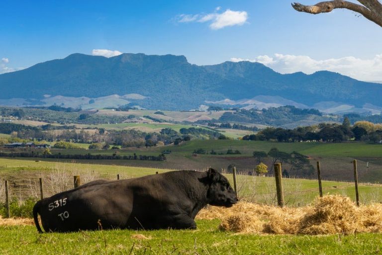 Photo of property in 201c Checkley Road, Raglan, 3295